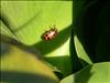 Jardin Botanico (2)